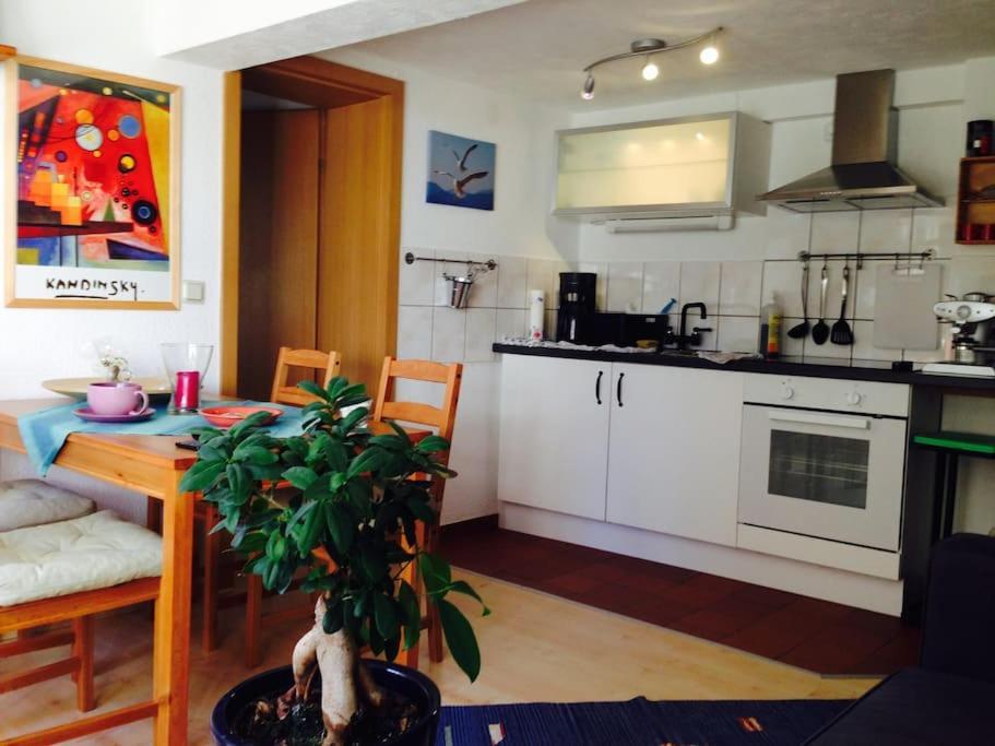 Apartment Am Brunnenplatz *